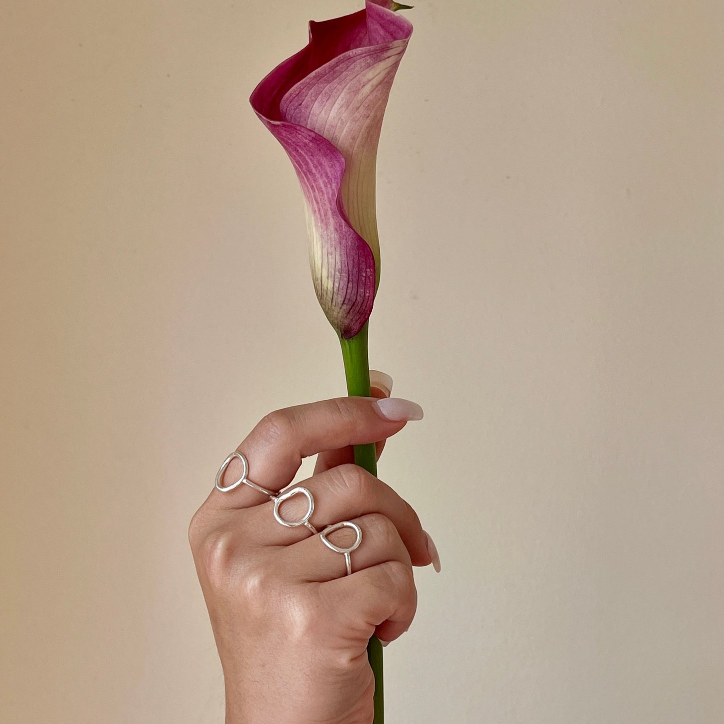 Hand holding a pink calla lily against a beige background