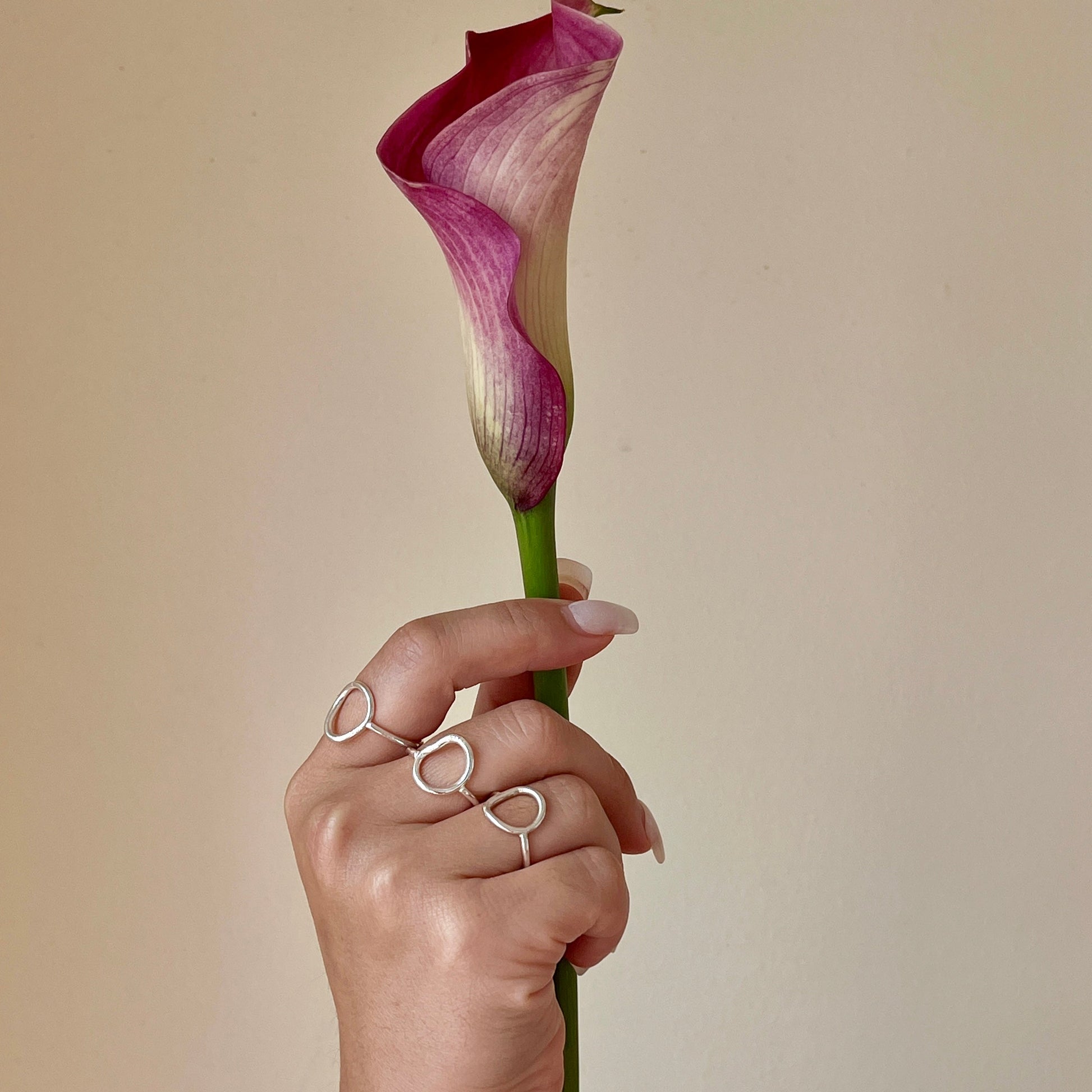 Hand holding a pink calla lily against a beige background