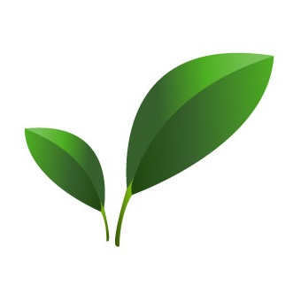 eco-friendly-green