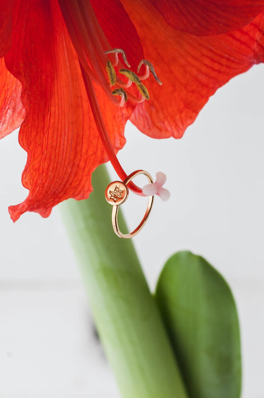 Zara | Birth Flower Ring in 14k Gold Filled | LoveGem Studio - Image 3