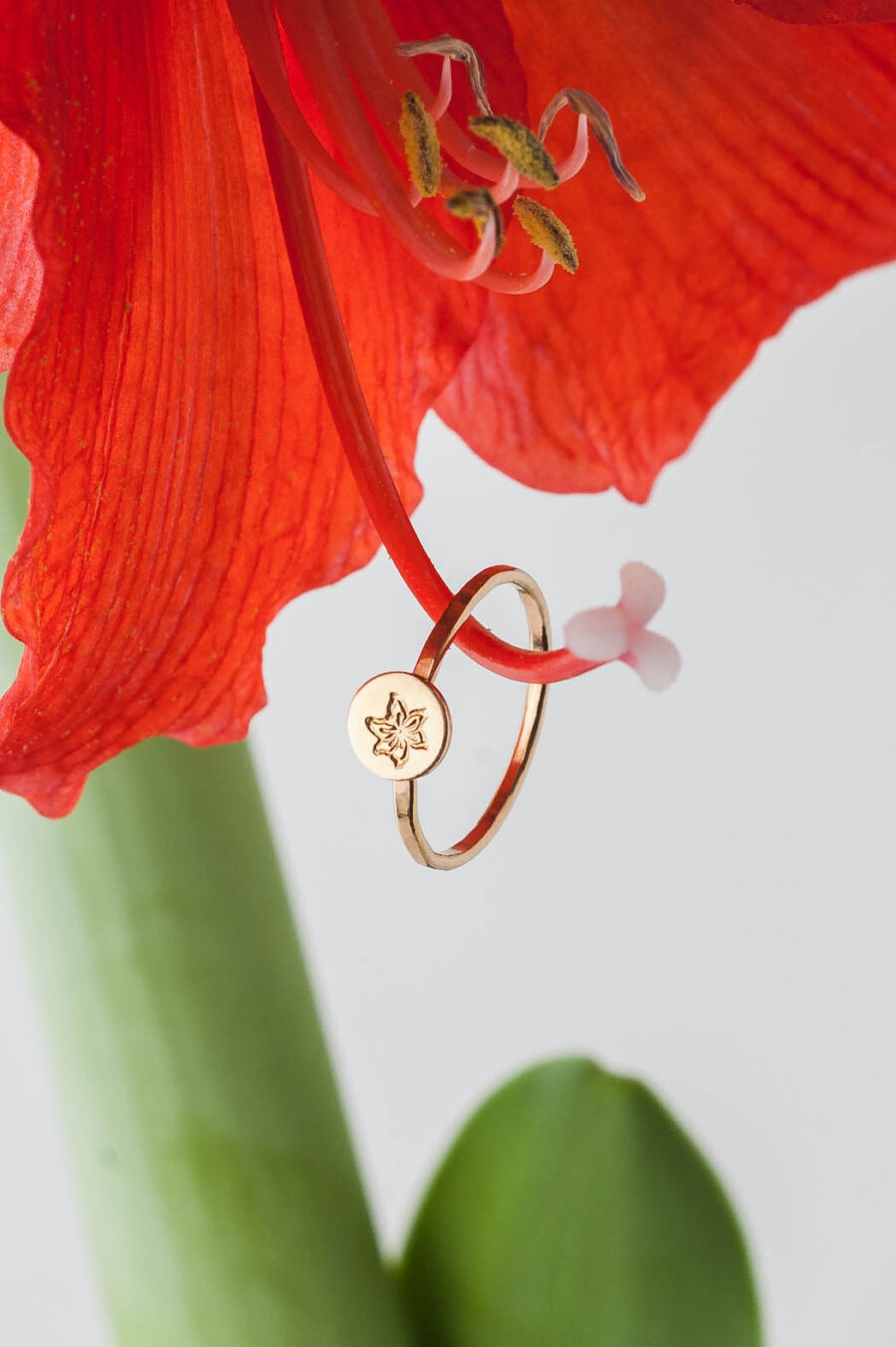 Zara | Birth Flower Ring in 14k Gold Filled | LoveGem Studio - Image 2